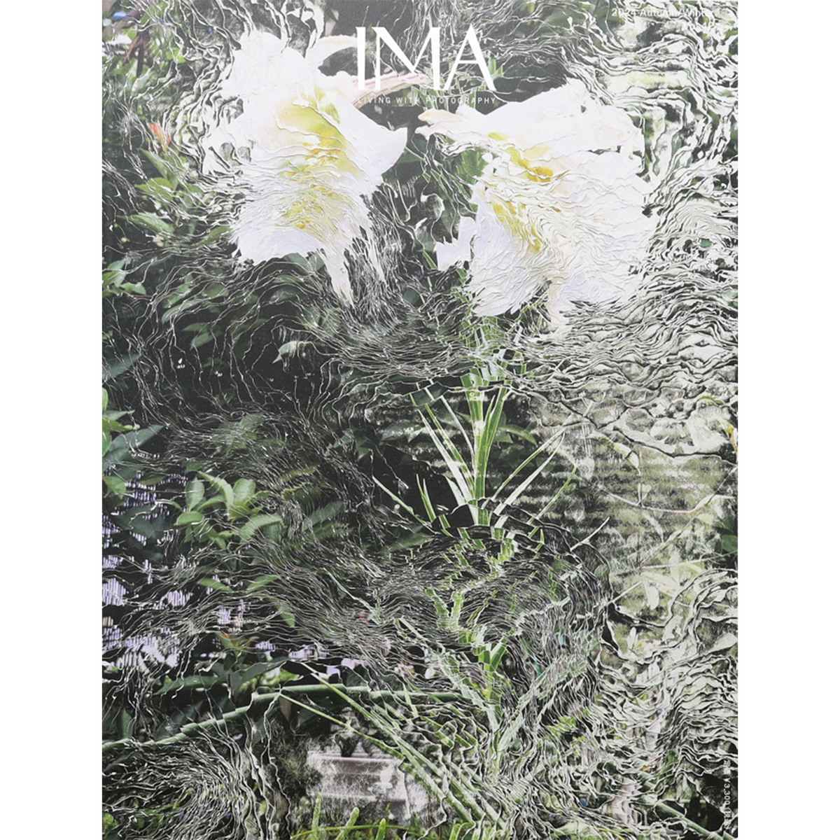 IMA MAGAZINE】IMA（イマ）Vol.42 2024年10月30日発売号 – 青幻舎