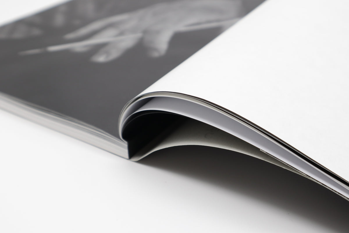 手塚雄二作品集 雲は龍に従う – 青幻舎オンラインショップ