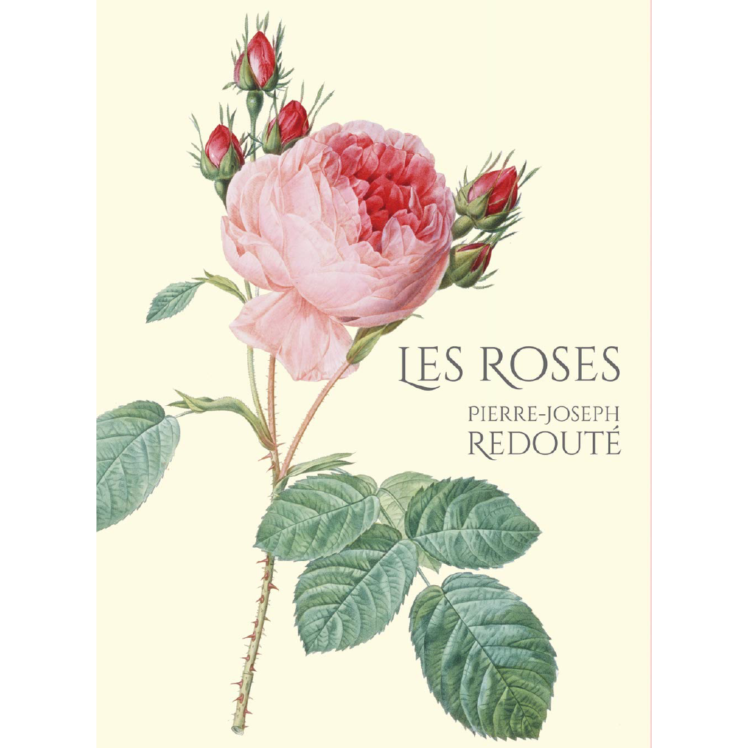 LES ROSES バラ図譜 – 青幻舎オンラインショップ