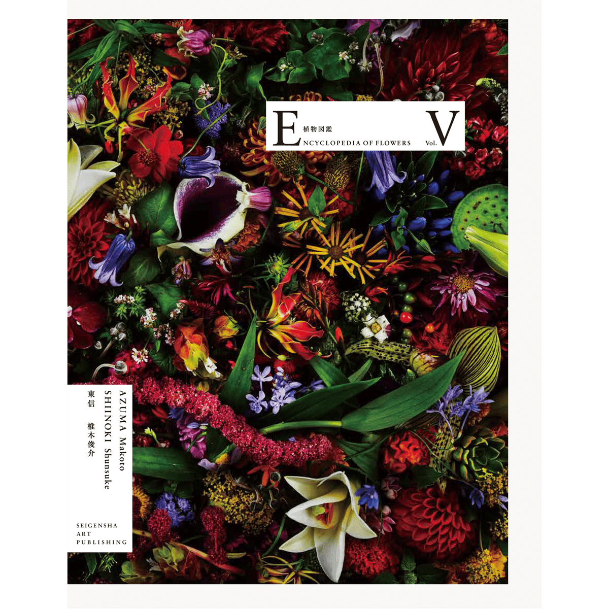 Encyclopedia of Flowers 植物図鑑V – 青幻舎オンラインショップ