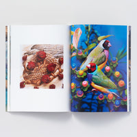 【IMA Photobooks】TOKYO2020 BY JAPANESE PHOTOGRAPHERS 9