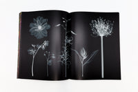 ENCYCLOPEDIA OF FLOWERS Ⅵ  植物図鑑