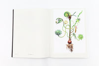ENCYCLOPEDIA OF FLOWERS Ⅵ  植物図鑑