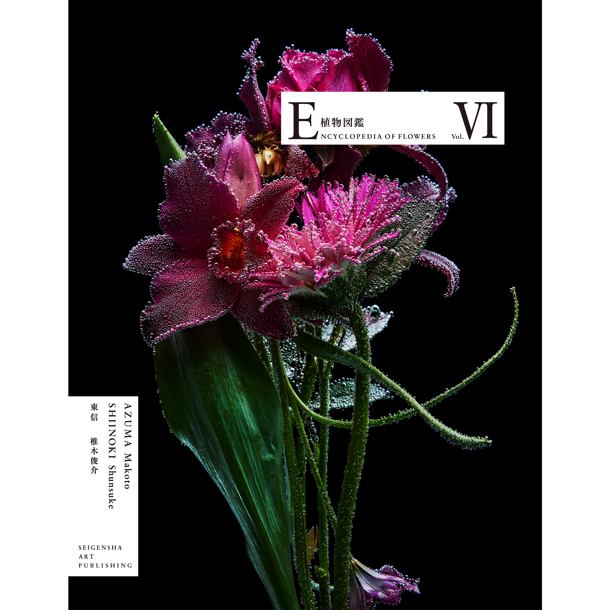 Amazon.com: Encyclopedia of Flowers: Flower Works by Makoto