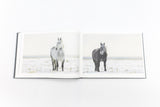 The Horses of Yururi Island<br />ユルリ島の馬