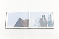 The Horses of Yururi Island<br />ユルリ島の馬