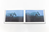 The Horses of Yururi Island<br />ユルリ島の馬