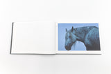 The Horses of Yururi Island<br />ユルリ島の馬