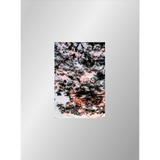 【IMA Photobooks】HDR_nature