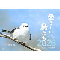 【9/26発売予約】【青靑社】愛らしい鳥たちカレンダー2026