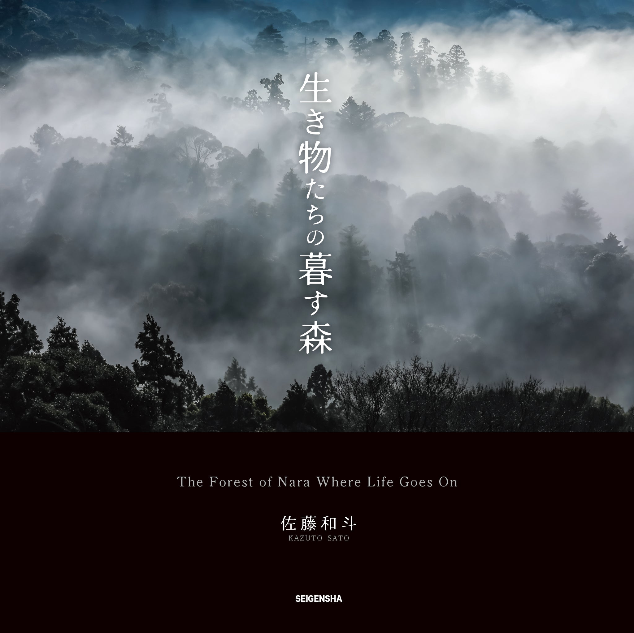 青菁社 - 写真集・カレンダー – 青幻舎オンラインショップ