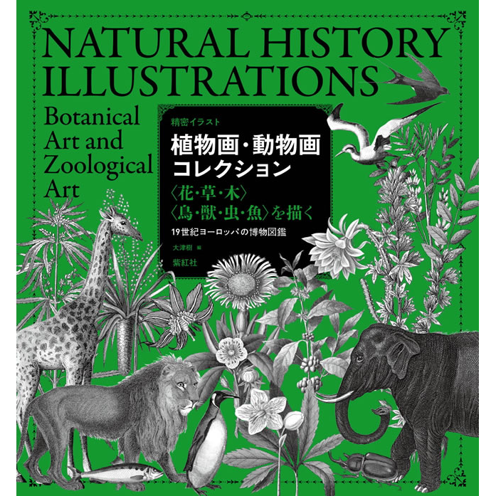 紫紅社 - 書籍 – 青幻舎オンラインショップ 紫紅社 - 書籍 – 青幻舎オンラインショップ