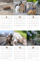 【9/26発売予約】【青靑社】気まま猫カレンダー2026