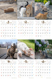 【9/26発売予約】【青靑社】気まま猫カレンダー2026