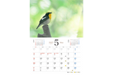 【9/25発売予約】【青菁社】愛らしい鳥たちカレンダー2027