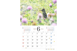 【9/25発売予約】【青菁社】愛らしい鳥たちカレンダー2027