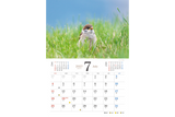 【9/25発売予約】【青菁社】愛らしい鳥たちカレンダー2027