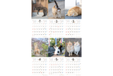 【9/25発売予約】【青菁社】気まま猫カレンダー2027