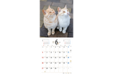 【9/25発売予約】【青菁社】気まま猫カレンダー2027