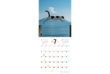【9/25発売予約】【青菁社】気まま猫カレンダー2027