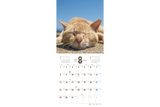 【9/25発売予約】【青菁社】気まま猫カレンダー2027