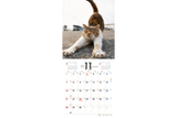 【9/25発売予約】【青菁社】気まま猫カレンダー2027