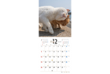 【9/25発売予約】【青菁社】気まま猫カレンダー2027
