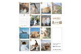 【9/25発売予約】【青菁社】気まま猫カレンダー2027