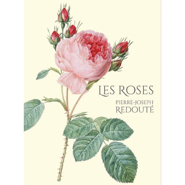 LES ROSES バラ図譜 – 青幻舎オンラインショップ LES ROSES バラ図譜 – 青幻舎オンラインショップ
