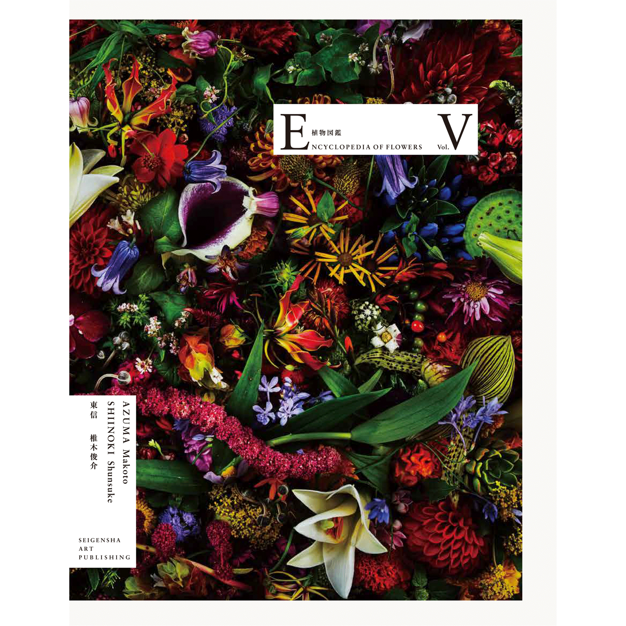 ENCYCLOPEDIA OF FLOWERS Ⅴ 植物図鑑 – 青幻舎オンラインショップ